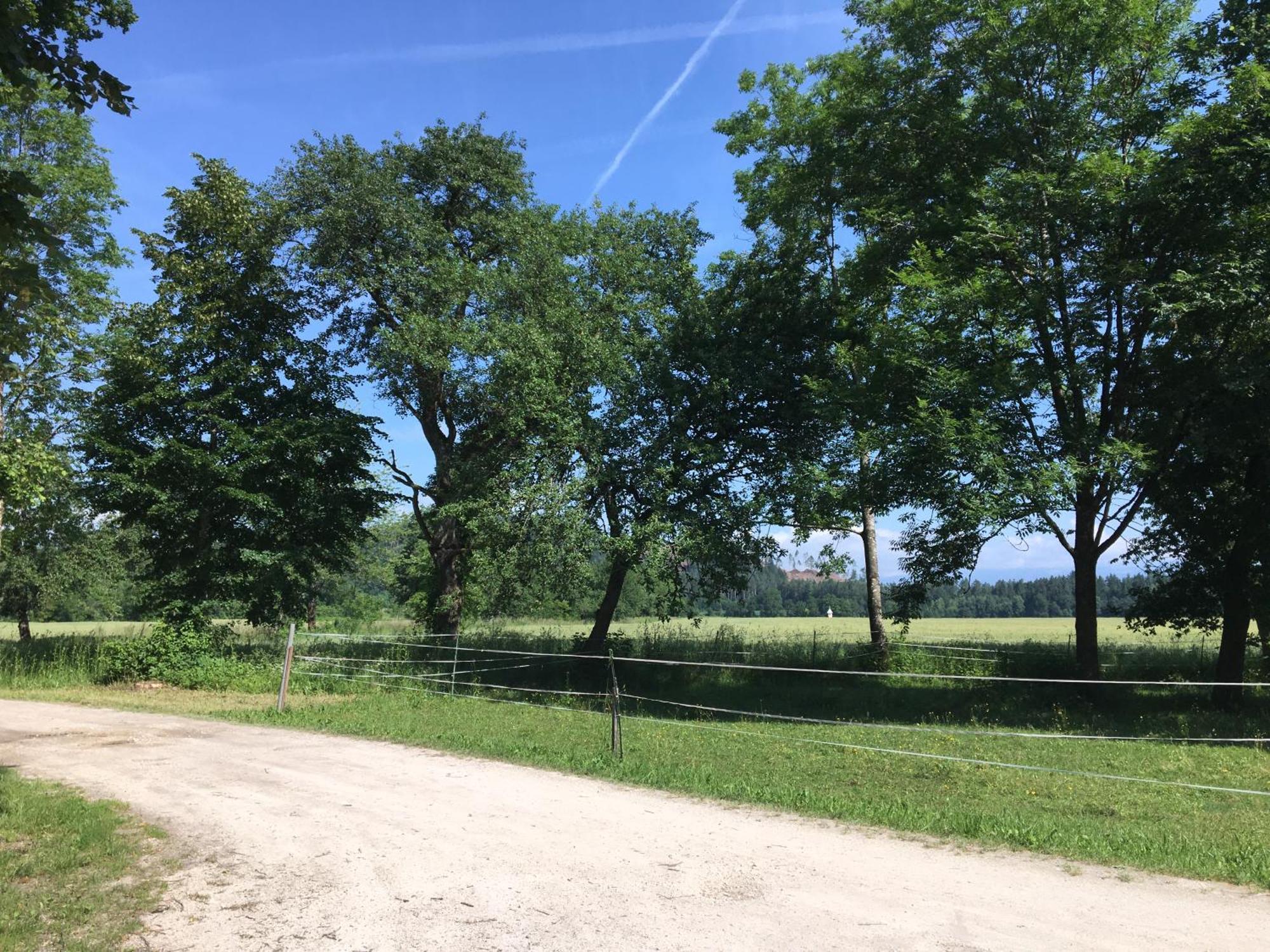 Skorianzhof Hotell Eberndorf Eksteriør bilde