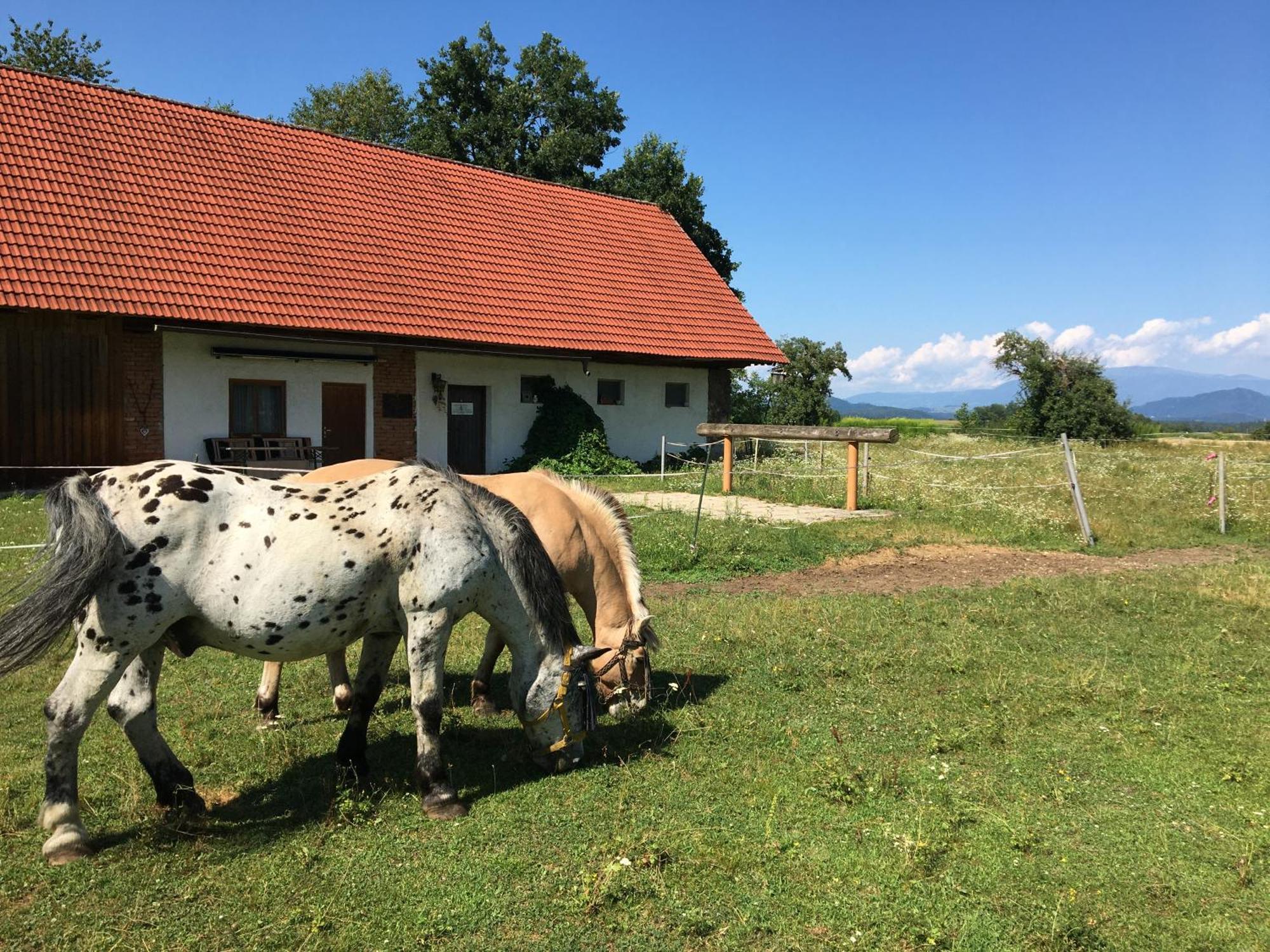 Skorianzhof Hotell Eberndorf Eksteriør bilde